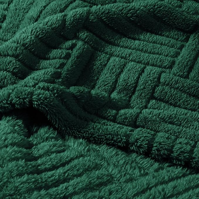 Whale Flotilla Lightweight Fleece Throw Blanket for Couch, Fuzzy Soft Blankets with Decorative Jacquard Pattern for All Season, Warm and Fluffy, 50x60 Inch, Emerald Green
