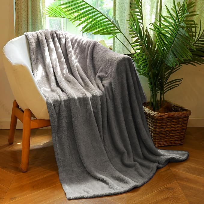 Plush Fleece Throw Blanket for Couch and Bed, Fluffy Fuzzy Cozy Queen-Size Soft Blankets All Season Use (60x80 Inches,Grey)