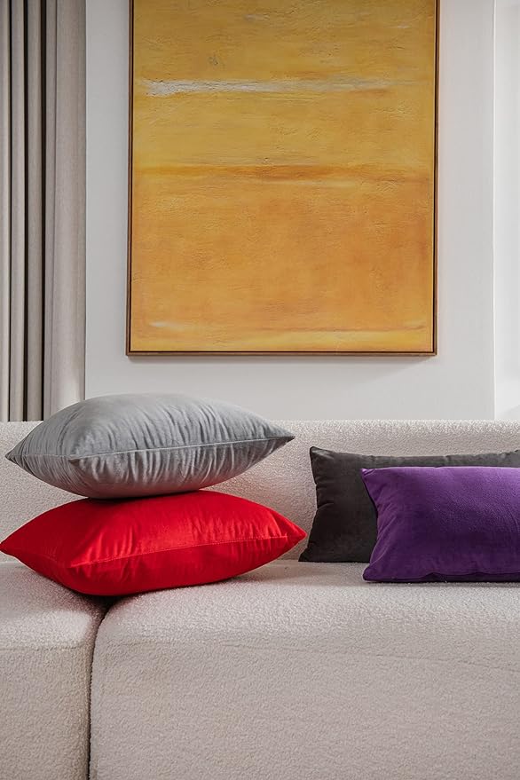 DEZENE Euro Sham Covers 24x24 Light-Grey: Pack of 2 Cozy Soft Velvet Square Modern Luxury Decorative Throw Pillow Cases for Sofa Couch Living Room Bed Home Decor