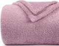 Plush Fleece Throw Blanket for Couch and Bed, Fluffy Fuzzy Cozy Soft Blankets All Season Use (50x60 Inches,Light Purple)