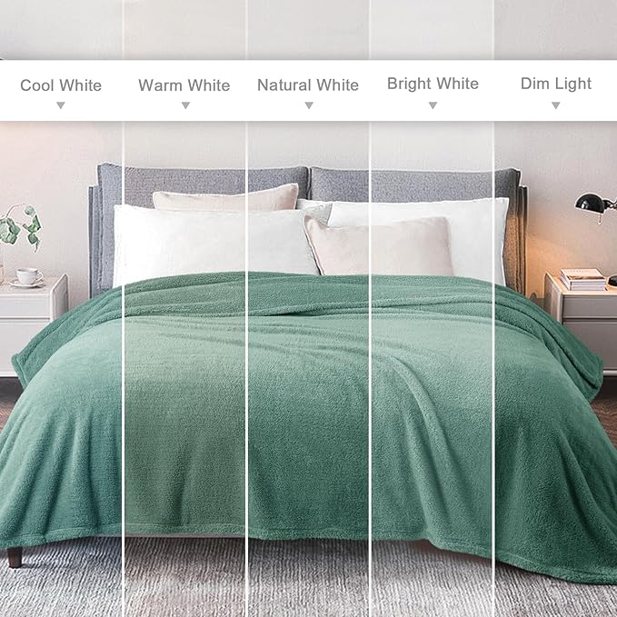 Exclusivo Mezcla Soft Fleece Throw Blanket for Couch, Super Soft Velvet Plush Fleece Blankets, Fuzzy Cozy and Warm for Winter, 50x60 Inches, Celadon
