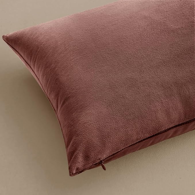 MIULEE Velvet Throw Pillow Covers 18x18 Inch, Pack of 2 - Jam, Soft Solid Decorative Pillow Covers Cushion Cases Modern Luxury Home Decor for Spring Couch Sofa Bedroom Livingroom