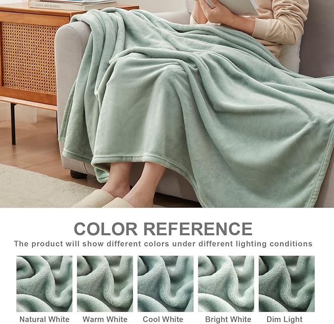 Hansleep Fleece Celadon Twin Blanket, Super Soft Flannel Fuzzy Plush Cozy Blanket for All Seasons, Celadon, Twin 60x80 Inches