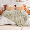 EMME Fluffy Soft Blanket Twin Size - 60"*80" Green Soft Fluffy Warm Throw Blankets for Couch, Sofa, Chair, Bed, Camping, Picnic, Travel Lightweight Bed Blanket