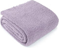 PAVILIA Super Soft Throw Blanket for Couch, Fluffy Cozy Lightweight Purple Blanket, Large Fuzzy Warm Knit Blanket for Bed Sofa, Lavender Lilac, 60x80