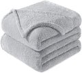 Exclusivo Mezcla Twin Size Blanket for Bed, Super Soft Velvet Plush Fleece Blankets, Fuzzy Cozy and Warm for Winter, 60x80 Inches, Light Grey