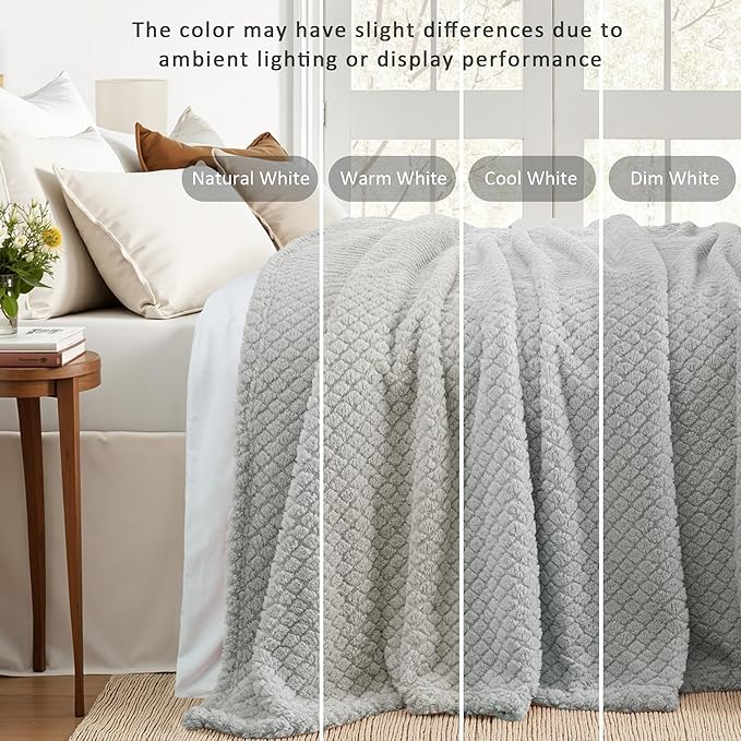 Exclusivo Mezcla Twin Size Fleece Blanket for Bed, Extra Soft Warm Decorative Fuzzy Blanket for Women, Lightweight Cozy Bedding Blankets, 60x80 Inches, Light Grey