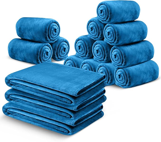 IR Imperial Rooms Fleece Blanket 16 Pack - Super Soft Fluffy Teal Throw Blanket for Sofa and Bed - Warm and Cozy Lightweight 400 GSM Microfiber Bed Throws Blankets, 50x60 Inches (Throw/Travel)