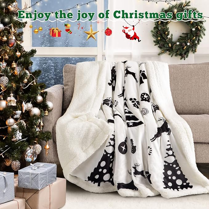 LBRO2M Sherpa Fleece Bed Blanket Queen Size,Christmas Super Soft Fuzzy Plush Warm Cozy Fluffy Microfiber Couch Throw Velvet Double Reversible Luxurious Blankets