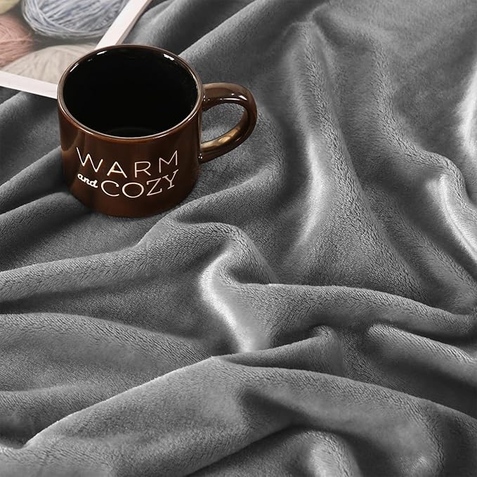 TASTHROW Lightgrey Throw Blanket 60x80 Inches, Soft Plush Cozy Fleece Flannel Throw Blanket, Lightweight Warm Throws for Bed, Couch, Bedroom and Living Room, All Seasons