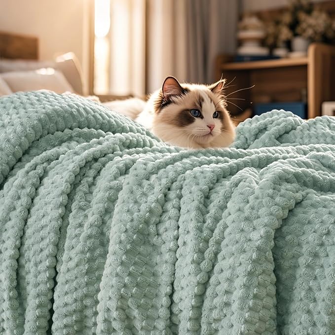 PHF Ultra Soft Flannel Fleece Blanket Twin Size, Lightweight 3D Jacquard Fleece Blanket, No Shedding, No Pilling, Luxury 340GSM Aesthetic Fluffy Cozy Bedding for Bed Room Decor, 66"x90", Sage Green