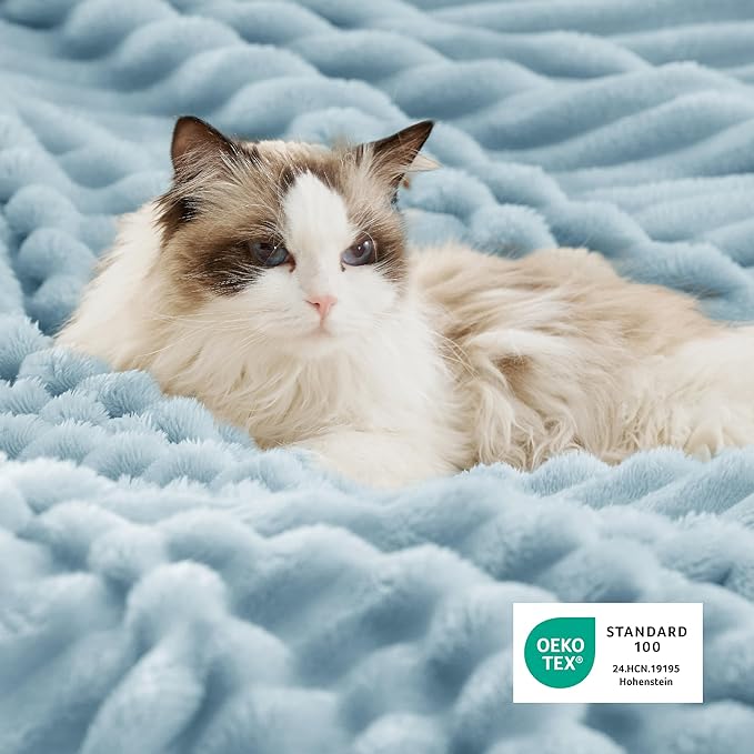 Bedsure Sherpa Blanket Queen Size for Bed - Super Soft, Cozy Fleece Thick Warm Blanket for Winter, GentleSoft Home Room Decor, Sky Blue, 90x90 Inches