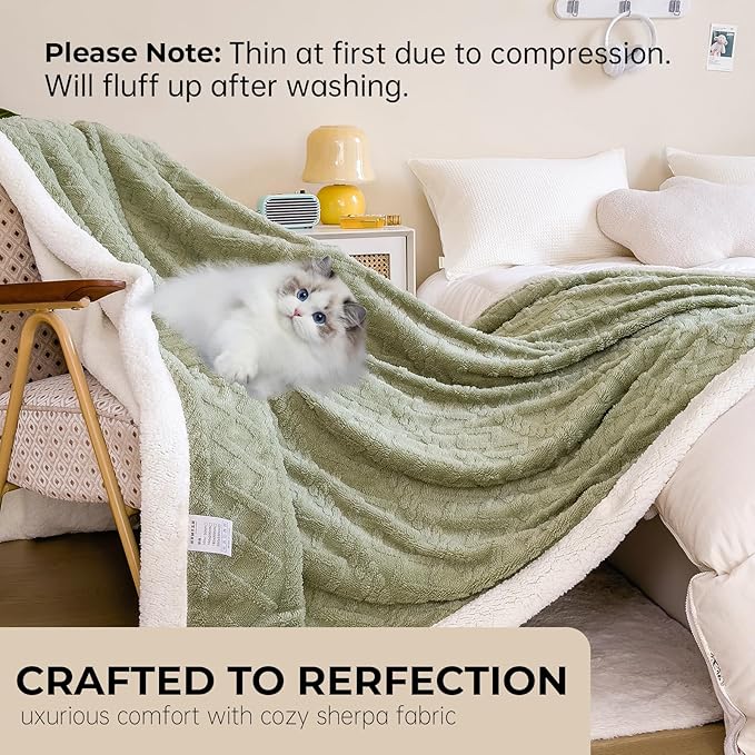 Sherpa Throw Size Blanket for Bed - Fleece Soft Cozy Fuzzy Blankets Thick Warm for Winter and All Seasons,Green,Women 40 * 60 Inches
