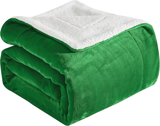 Elegant Comfort Ultra Soft Reversible Flannel Sherpa Blanket - Cozy Silky Fleece Throw for Couch, Bed - Plush Fuzzy Warm Winter Blanket for Gift, Queen, Emerald Green