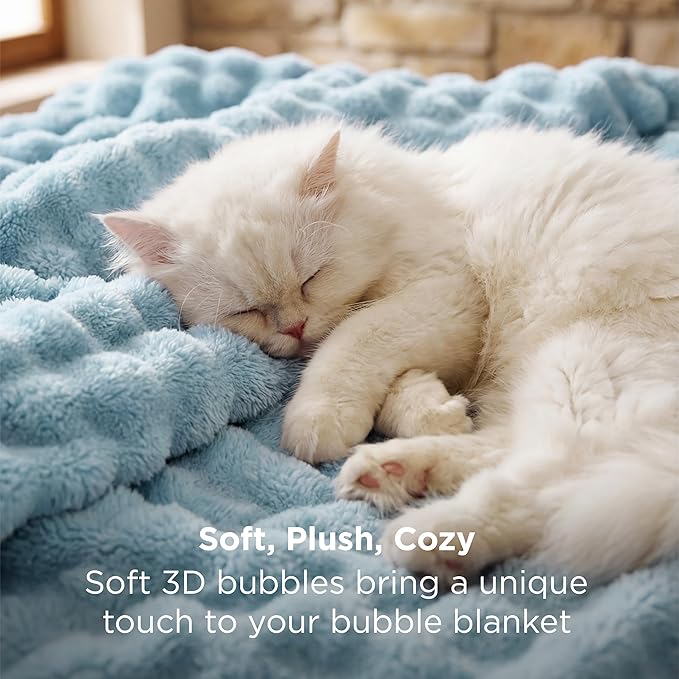 Bedsure 3D Fleece Bubble Blanket - GentleSoft Blue Queen Blanket for Bed Sofa Room Decor - Luxury Soft Cozy Gifts, Lightweight, All Seasons, Light Blue, 90"×90"