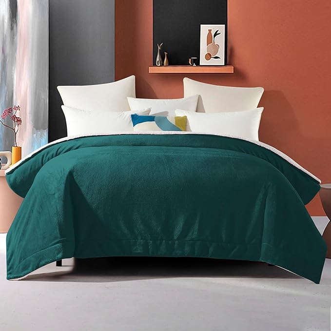 Elegant Comfort Ultra Soft Reversible Flannel Sherpa Blanket - Cozy Silky Fleece Throw for Couch, Bed - Plush Fuzzy Warm Winter Blanket for Gift, Queen, Turquoise