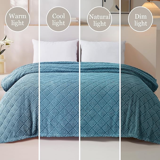 Whale Flotilla Fuzzy Fleece Queen Size Blanket for Bed, Soft Fluffy Jacquard Waffle Blankets for All Season, Lightweight and Warm, 90x90 Inch, Slate Blue