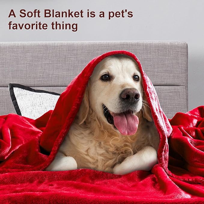 DREAMNINE Extra Soft Fuzzy Fleece Throw Blanket for Couch Sofa Chair 50" x 60", Decorative Solid Lightweight Fluffy Velvet Blankets,Cozy Accent Shaggy Plush Warm Flannel Blanket for Winter Bedroom,Red