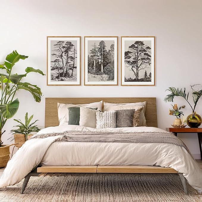 CHDITB Vintage Sketch Pine Tree Framed Canvas Wall Art Set Of 3, Antique Wilderness Forest Wall Decor, Nature Botanical Wall Painting, Modern landscape Art Prints for Living Room Bedroom(12X16 Inch)