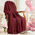inhand Claret Knitted Throw Blanket for Couch Bed, Mothers Day/Mom Birthday Gifts for Mom from Daughter Son, Soft Lightweight with Tassels, Farmhouse Warm Decorative Blanket for Women, 60"x80"