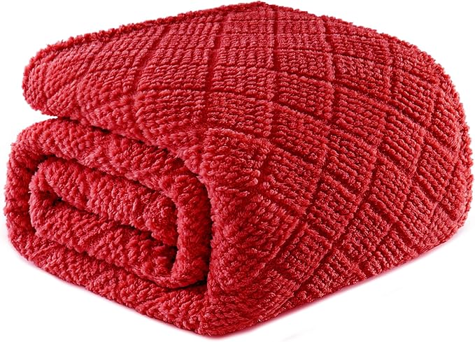 Whale Flotilla Fuzzy Fleece Queen Size Blanket for Bed, Soft Fluffy Jacquard Waffle Blankets for All Season, Lightweight and Warm, 90x90 Inch, Red
