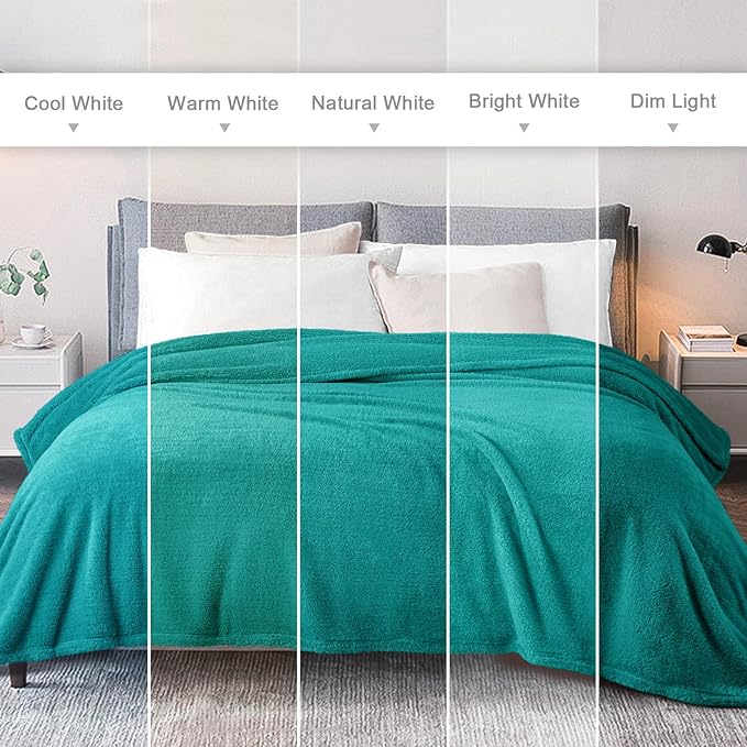 Exclusivo Mezcla Queen Size Blanket for Bed, Super Soft Velvet Plush Fleece Blankets, Fuzzy Cozy and Warm for Winter, 90x90 Inches, Teal