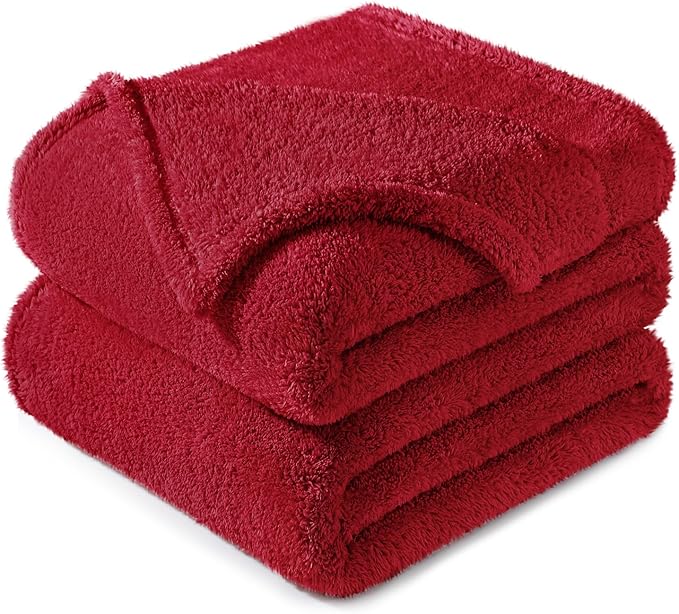Exclusivo Mezcla Twin Size Blanket for Bed, Super Soft Velvet Plush Fleece Blankets, Fuzzy Cozy and Warm for Winter, 60x80 Inches, Deep Red
