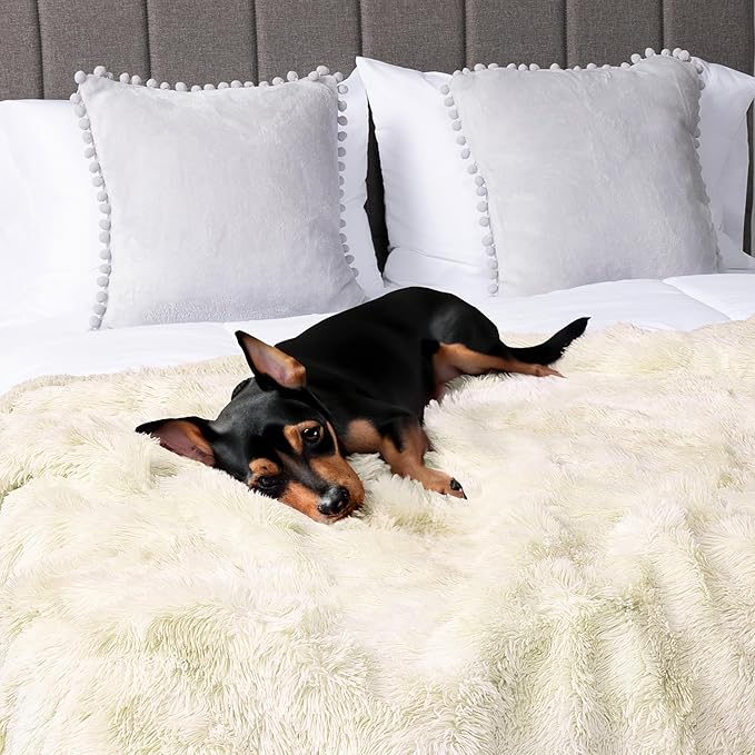 Pavilia Cream Beige Fluffy Bed Blanket, Queen Size, Fuzzy Plush Warm Large Blanket for Couch Sofa, Super Soft Thick Faux Fur Sherpa Blanket, 90x90