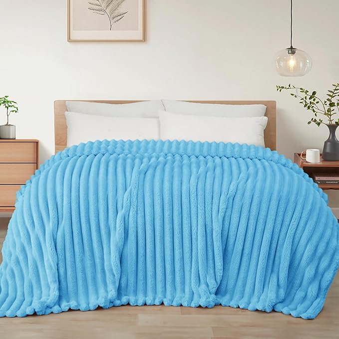 Exclusivo Mezcla Twin Size Flannel Fleece Blanket, Super Soft Striped Jacquard Bed Blanket, Lightweight Fuzzy Cozy for All Seasons, 60x80 Inches, Blue