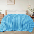 Exclusivo Mezcla Twin Size Flannel Fleece Blanket, Super Soft Striped Jacquard Bed Blanket, Lightweight Fuzzy Cozy for All Seasons, 60x80 Inches, Blue