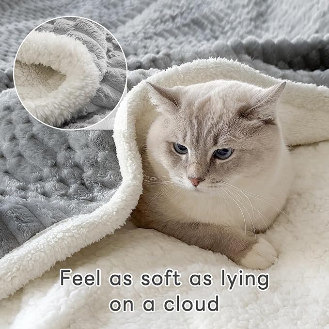 Sherpa Throw Blanket for Couch Flannel Cozy Soft Thick Blanket Warm Twin Blanket for Bed Fleece Home Decor Gifts, Z01 - Light Grey, 60"*80"