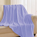 Super Soft Flannel Throw Blanket 50x60 Inches, Premium Checkered Jacquaed Silky Fleece Lightweight Bed Blanket All Season Use, Light Blue-1 Strip, 50"x60"
