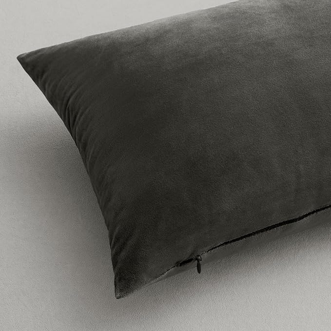 MIULEE Pack of 2 Velvet Pillow Covers Decorative Square Pillowcase Soft Solid Cushion Case for Sofa Bedroom Car 20 x 20 Inch Dark Grey