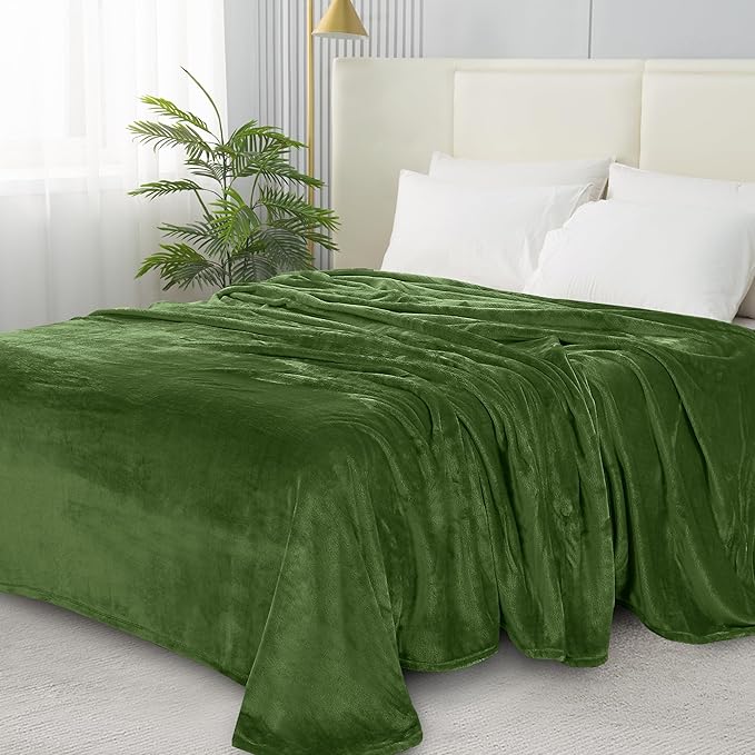 Elegant Comfort Luxury Velvety Softness Fuzzy Plush Micro-Velour Ultra-Soft Blanket, King/California King, Green