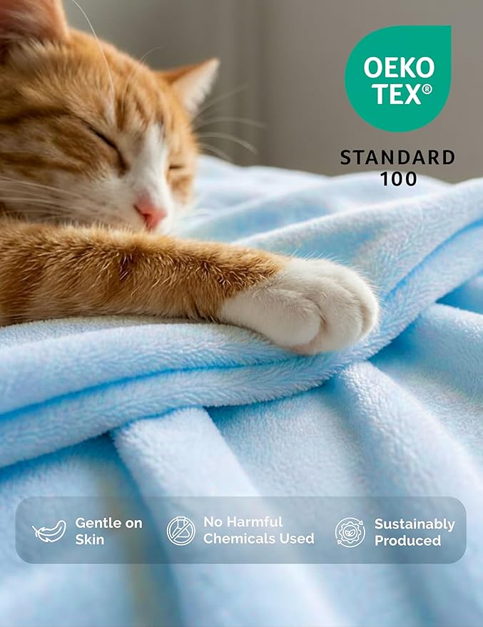 Casa Platino Fleece Blanket Queen Size – 300 GSM Light Blue Fleece Throw for Bed or Couch – Soft Cozy Warm Holiday Bed Blanket for Winter, Fuzzy Plush Elegant Gifts for Men & Women - 90x90 Inch