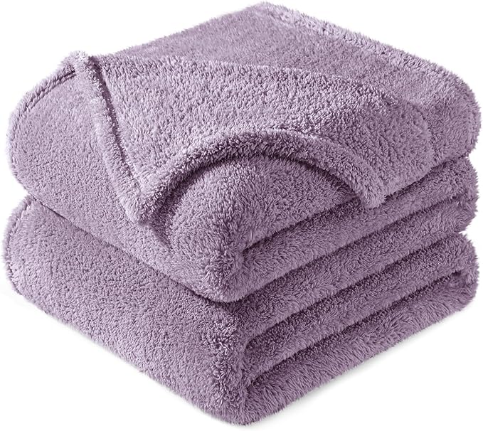Exclusivo Mezcla Twin Size Blanket for Bed, Super Soft Velvet Plush Fleece Blankets, Fuzzy Cozy and Warm for Winter, 60x80 Inches, Grayish Purple