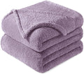 Exclusivo Mezcla Twin Size Blanket for Bed, Super Soft Velvet Plush Fleece Blankets, Fuzzy Cozy and Warm for Winter, 60x80 Inches, Grayish Purple