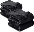 IR Imperial Rooms Fleece Blanket 2 Pack - Super Soft Fluffy Black Throw Blanket for Sofa and Bed - Warm and Cozy Lightweight 400 GSM Microfiber Bed Throws Blankets, 50x60 Inches (Throw/Travel)