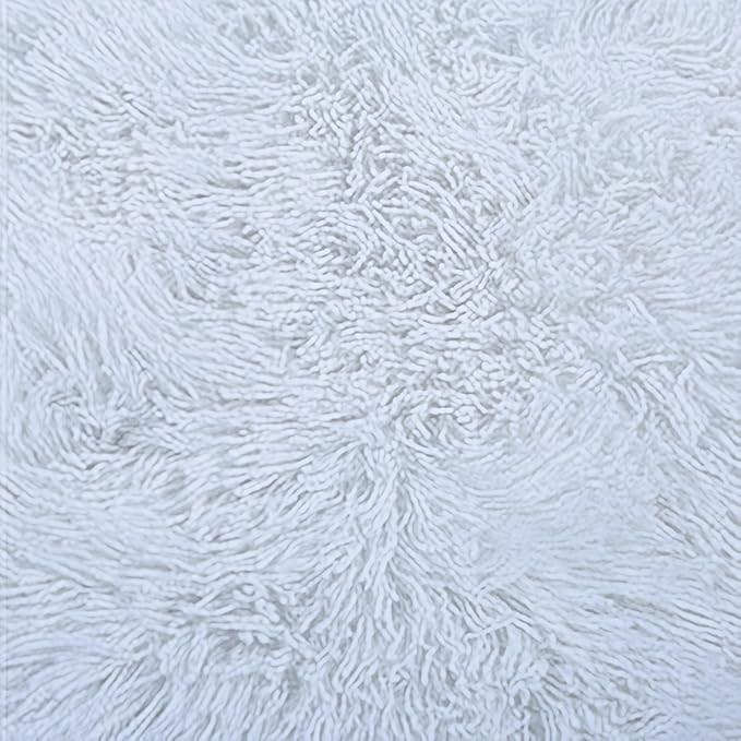 Plush Super Soft Blanket Bedding Sofa Cover Furry Fuzzy Fur Warm Throw Qulit Cozy Couch Blanket for Winter (51"x63",White)