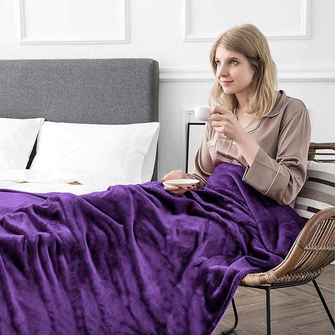 IR Imperial Rooms Fleece Blankets Queen Size 90x90 Inches- 2 Pack - Super Soft Fluffy Throw Blanket for Sofa and Bed - Warm and Cozy Lightweight 400 GSM Microfiber Bed Throws Blankets (Queen, Purple)