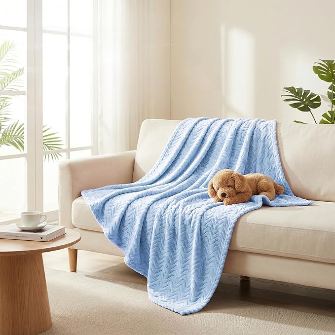Exclusivo Mezcla King Blanket for Bed, Cozy Lightweight Fleece Blankets for All Season, Decorative Giftable Fuzzy Plush Wave Textured Suitable for Women, Men, Light Blue, 90x104 Inches