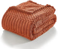 lifein Throw Blanket for Couch-Rust Boho Throw Blanket, Soft Fleece Plush Lightweight Blankets&Throws for All Seasons, Fuzzy Fall Decorative Blankets for Livingroom Bed Sofa Chair (50x60, Rust)