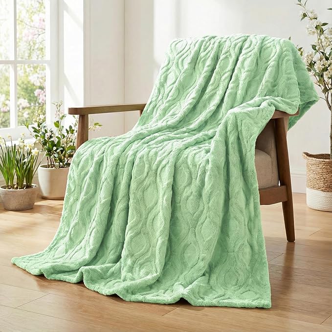 Horaldaily Solid Blanket Throw, Green Accent Farmhouse Neutral Square Euro Soft Fuzzy Plush Faux Fur Cozy Blankets for Couch Sofa Bed Lounging, Ideal Gifts for Kids Adults Wife Self, 50x60