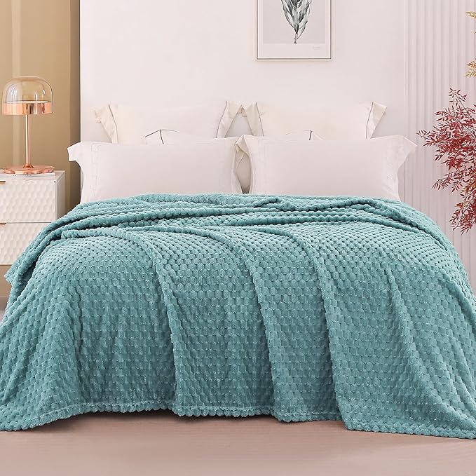 Exclusivo Mezcla Fleece Queen Blanket for Bed, Extra Large Fuzzy Celadon Bed Blankets, Soft Cozy Plush Sofa Throws for All Seasons, 90x90 Inches