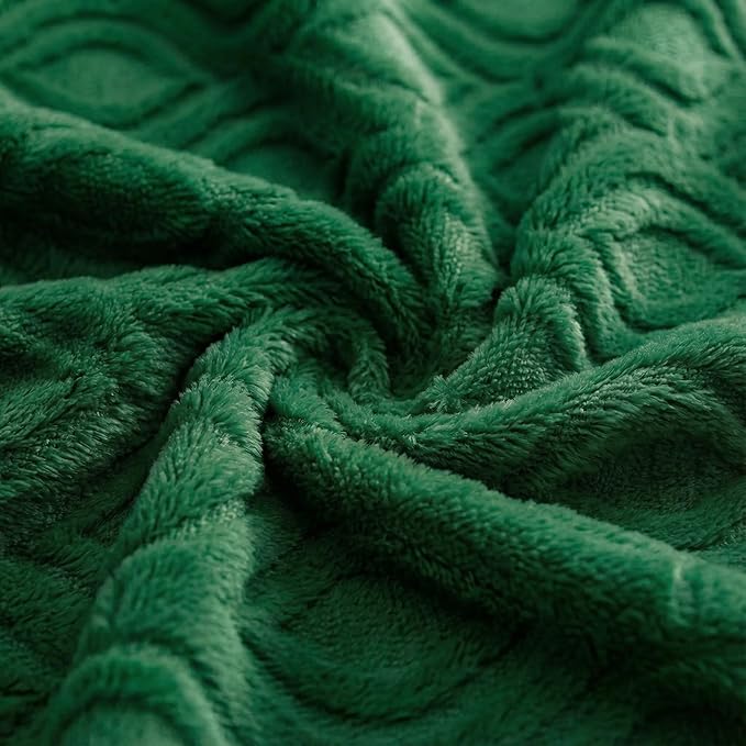 Horaldaily Solid Blanket Throw, Dark Green Accent Farmhouse Neutral Square Euro Soft Fuzzy Plush Faux Fur Cozy Blankets for Couch Sofa Bed Lounging, Ideal Gifts for Kids Adults Wife Self, 50x60