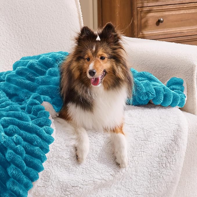 INFIIXSO Sherpa Throw Blanket for Couch - Super Soft & Warm Striped Fleece Blanket, Cozy Plush Fluffy Blanket All Season Use (Teal, 60x80 Inches)