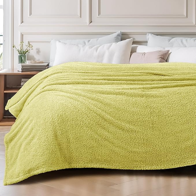 Exclusivo Mezcla Fleece Bed Blankets Queen Size, Ultra Soft, Lightweight and Fuzzy Light Green Blanket for Women, Home Decor, 90x90 Inches