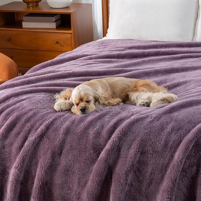 Berkshire Blanket Classic Extra-Fluffy™ Plush Throw Blanket, Soft Fuzzy Fluffy Long Hair Throw Blanket for Couch Sofa Bed, Plum Smoke, 50x60 Inches