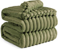 Bedsure GentleSoft Moss Fleece Queen Blanket for Couch - Cozy Soft Blankets for Women, Cute Small Throws for Girls, 90x90 Inches