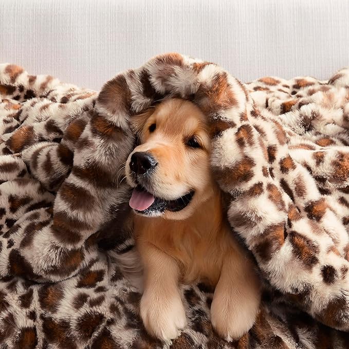 WDCOZY Cheetah Leopard Print Bubble Throw Blanket, Luxury Faux Rabbit Fur Mink Plush Throw for Couch, Sofa and Bed, Soft Fluffy Fuzzy Cozy Blanket for Women, Thick and Warm, 50x60 inches, 950 GSM